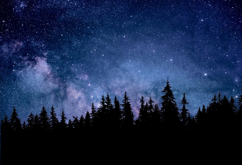 Constellation Backdrop