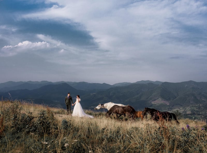 Bride in Wedding Dress